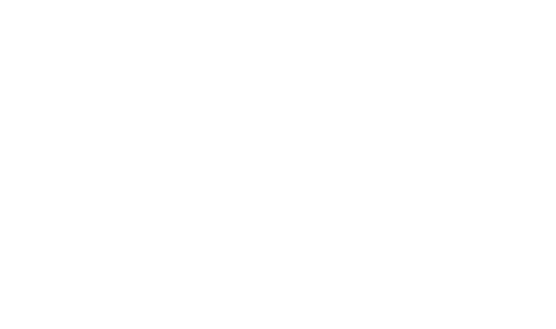 CNK Consulting