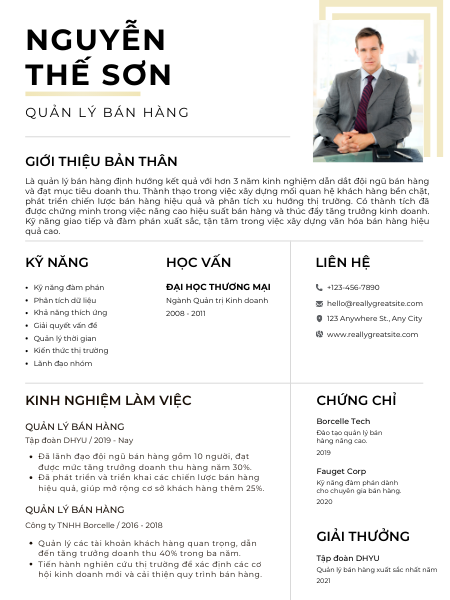 Mẫu CV sales manager cho ngành FMCG bán lẻ