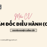 Mẫu CV Giám đốc điều hành (CEO) Chuyên nghiệp & Đẳng cấp