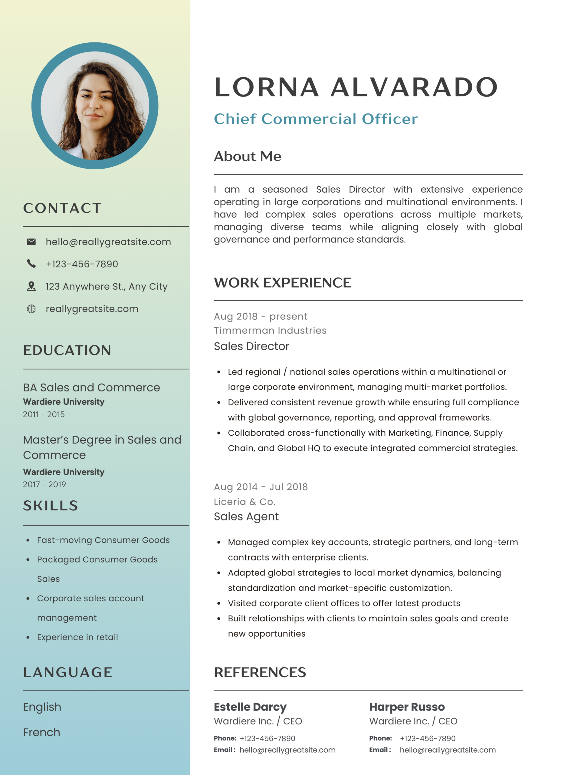 Mẫu CV giám đốc kinh doanh cho tập đoàn & MNCs