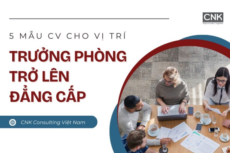 5 Mẫu CV cho vị trí Trưởng phòng trở lên Đẳng cấp