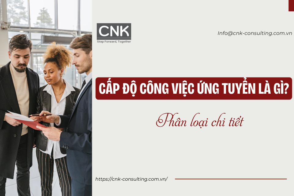 Cấp độ công việc ứng tuyển là gì. Phân loại chi tiết