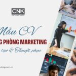 Mau CV truong phong marketing sang tao thu hut