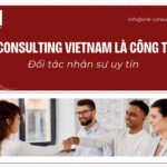 CNK Consulting Vietnam là công ty gì?Đối tác nhân sự uy tín