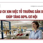 Mẫu CV xin việc tổ trưởng sản xuất giúp tăng 80% cơ hội