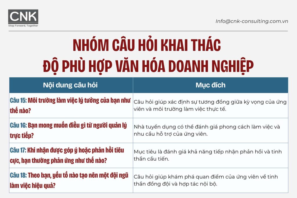 Nhóm câu hỏi khai thác độ phù hợp văn hóa doanh nghiệp