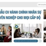 Tải mẫu CV hành chính nhân sự chuyên nghiệp cho mọi cấp độ