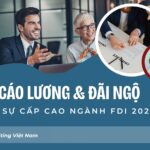 bao cao luong dai ngo nhan su cap cao nganh fdi 2026 so 6