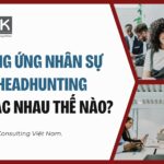 cung ung nhan su va headhunting so 1