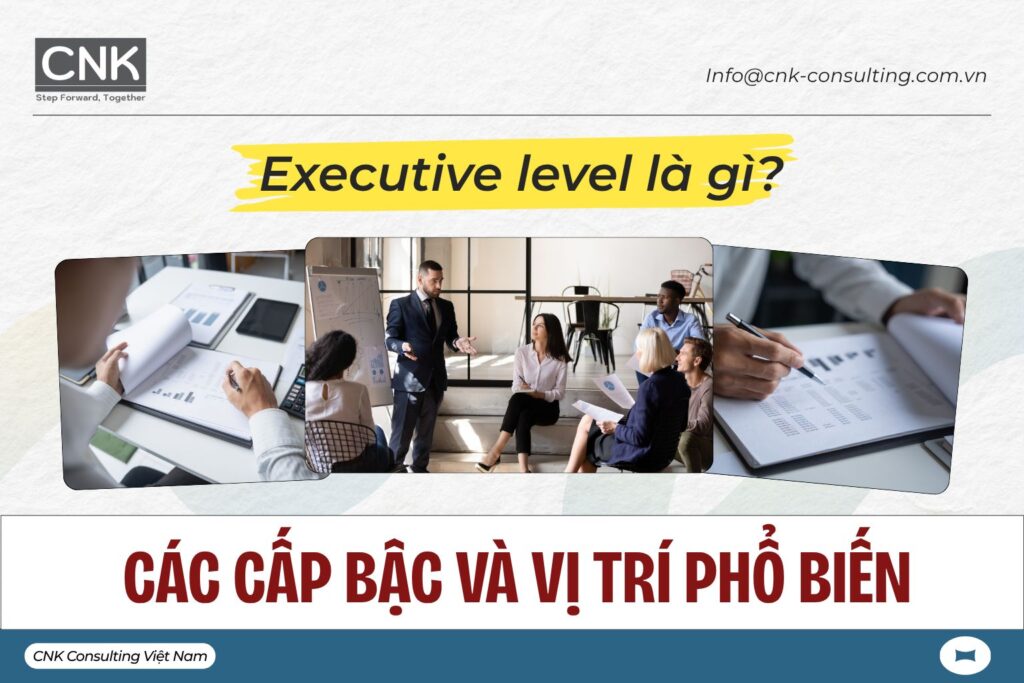 Executive level là gì? Các cấp bậc và vị trí phổ biến