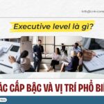 executive level la gi so 2