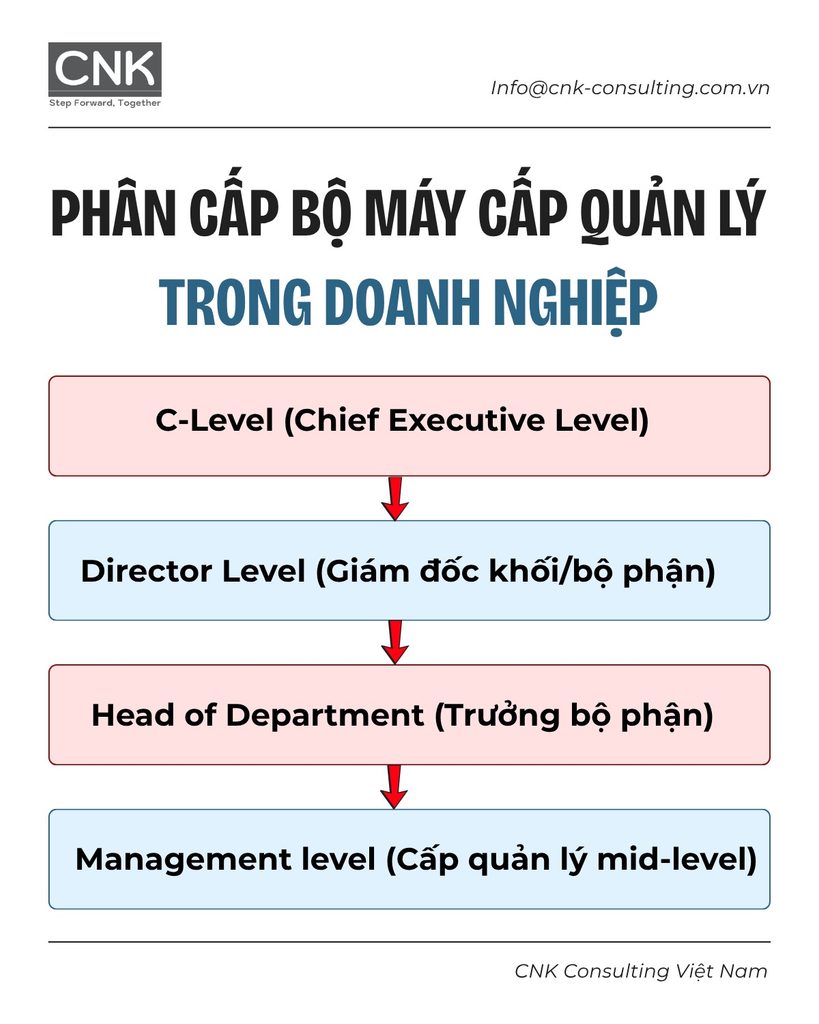 Phân cấp bộ máy quản lý cấp cao: C-level, director, head và manager