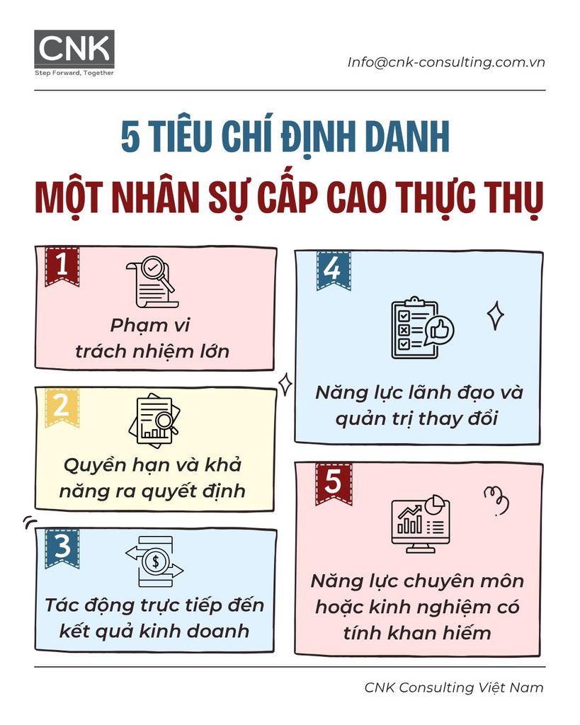 Tiêu chí nhận diện và phân loại các nhóm nhân sự cấp cao phổ biến